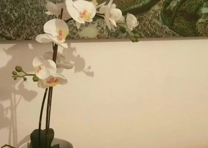 Apartamento A 2 Passi Dal Mare *